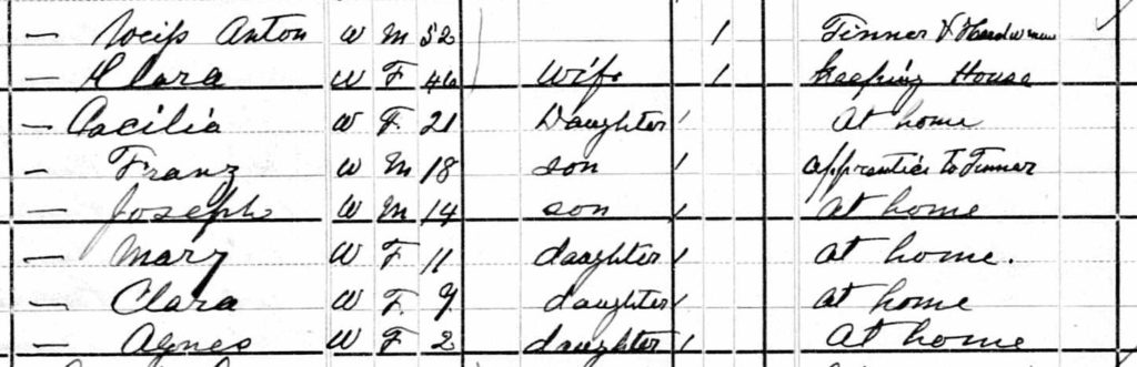 1880 United States Federal Census Record for Anton Weiss family